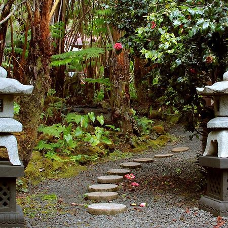 Lotus Garden Cottages Volcano Luaran gambar